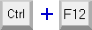 F12 keyboard shortcut